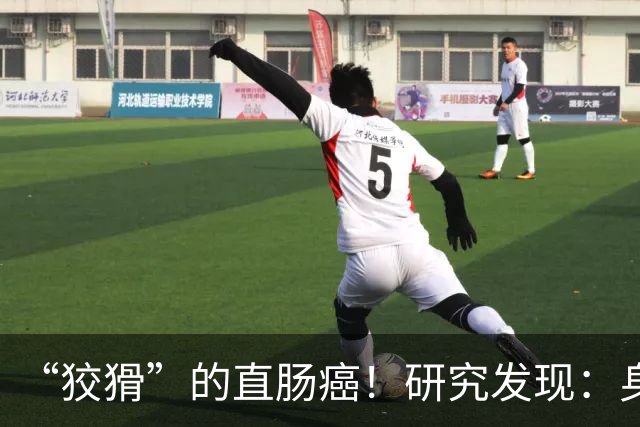 “狡猾”的直肠癌！研究发现：身体若频繁出现4表现，或已是晚期
