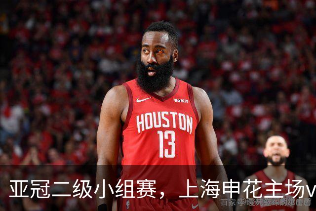 亚冠二级小组赛，上海申花主场vs淡滨尼流浪现场观众人数24024人