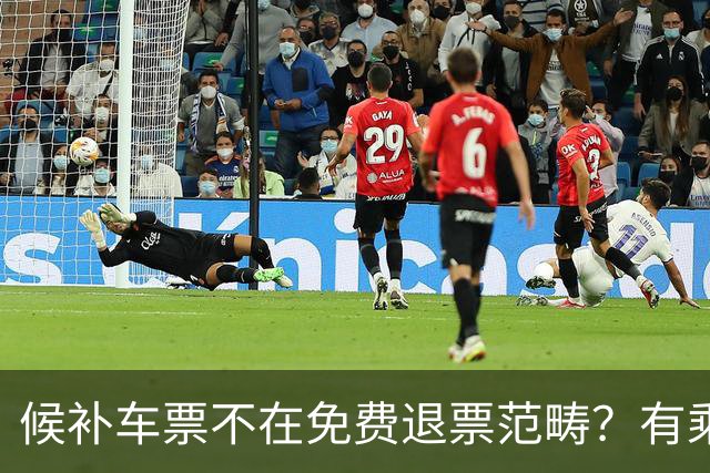 候补车票不在免费退票范畴？有乘客称候补兑现后10分钟内退票被收8元手续费，12306回应
