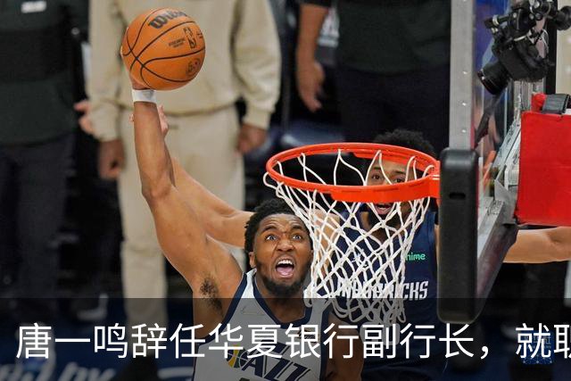 唐一鸣辞任华夏银行副行长，就职北京东城区