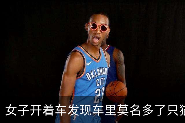 女子开着车发现车里莫名多了只猫，最后找到一家四口，人都懵了：你们一家什么时候搬进来的？