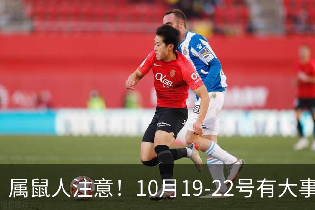 属鼠人注意！10月19-22号有大事落定，尤其是第三件，不管信不信