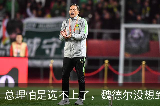 总理怕是选不上了，魏德尔没想到，选择党找不到盟友，德国迎变数