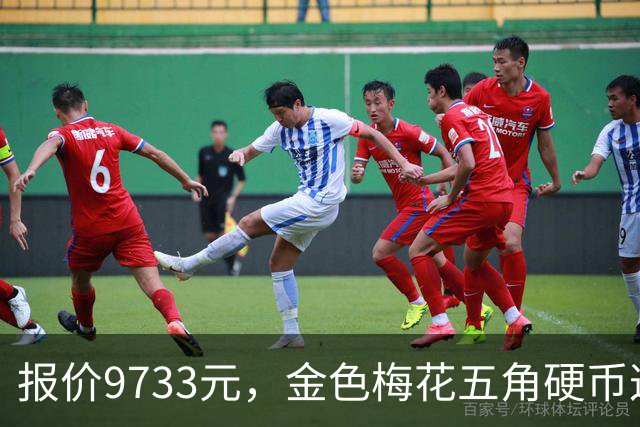 报价9733元，金色梅花五角硬币这个年份谁还有？