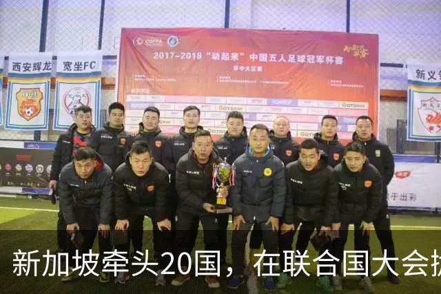 新加坡牵头20国，在联合国大会抛出提案，想给中美AI“立规矩”？