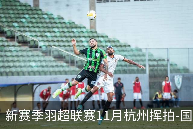 新赛季羽超联赛11月杭州挥拍-国际在线