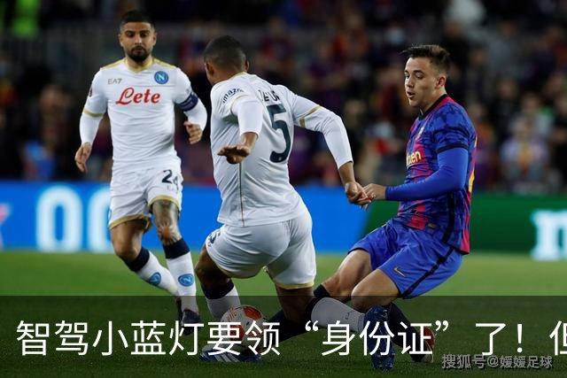 智驾小蓝灯要领“身份证”了！但L3级以上才能装：颜色还得改成蓝绿色