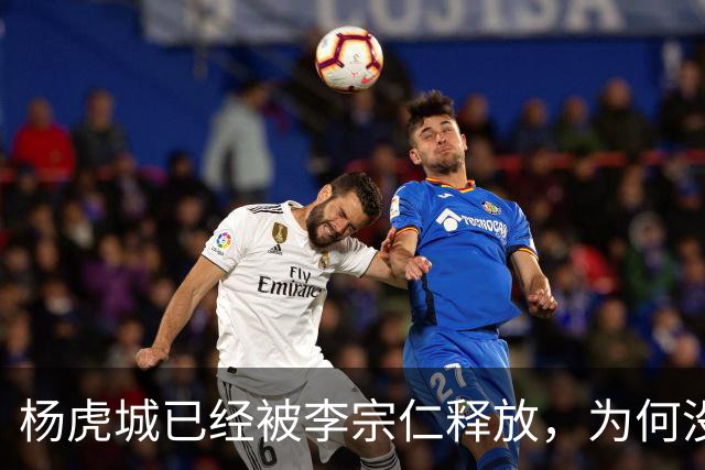 杨虎城已经被李宗仁释放，为何没能逃脱？只因这几个人在背后捅刀
