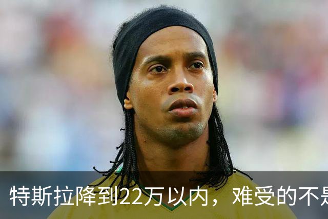 特斯拉降到22万以内，难受的不是对手，是上个月刚提车的人