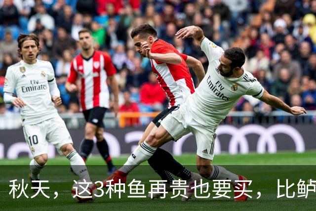秋天，这3种鱼再贵也要买，比鲈鱼鲜美，比带鱼营养，一周吃上2次，补足营养和元气，身体强健过秋冬！