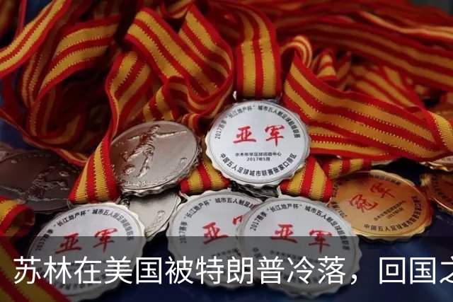 苏林在美国被特朗普冷落，回国之后第一件事，立即派人北上中国