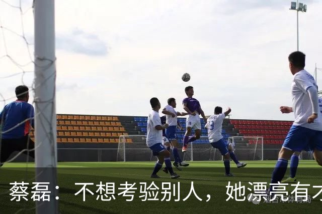 蔡磊：不想考验别人，她漂亮有才，我不想拖累，但，其实我需要她