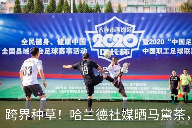 跨界种草！哈兰德社媒晒马黛茶，感谢小蜘蛛恩佐安利阿根廷国民饮品