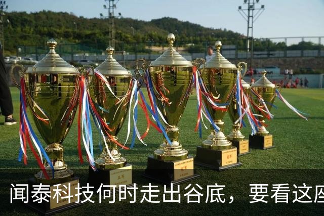 闻泰科技何时走出谷底，要看这座“兄弟”工厂的？