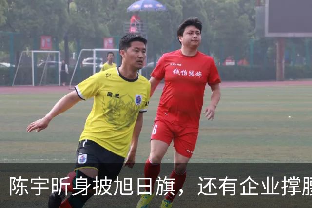 陈宇昕身披旭日旗，还有企业撑腰，汤家凤怒喊露头就打