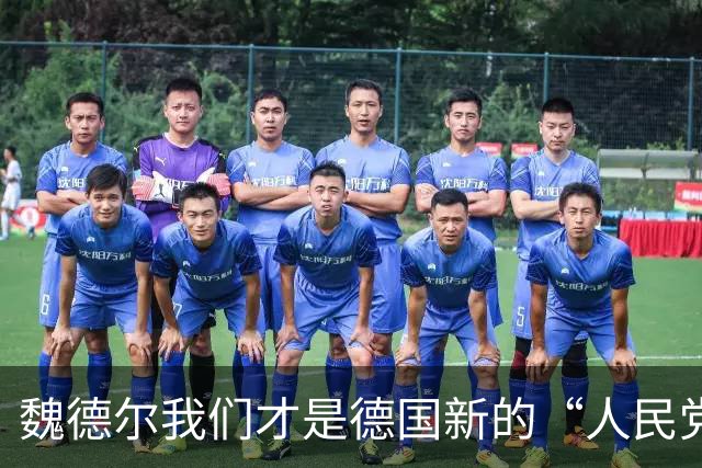 魏德尔我们才是德国新的“人民党”