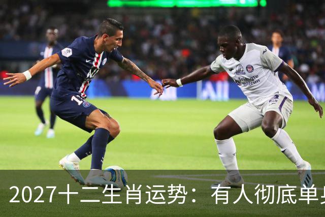 2027十二生肖运势：有人彻底单身，有人乘风而起，有人要防住小人