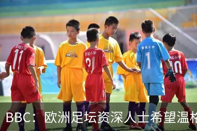 BBC：欧洲足坛资深人士希望温格参选FIFA主席