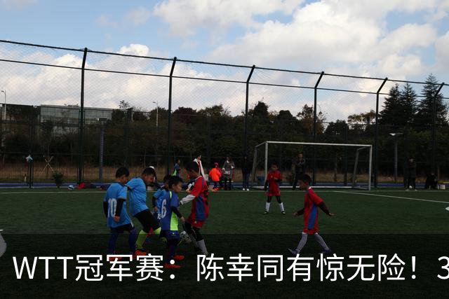 WTT冠军赛：陈幸同有惊无险！3-1胜世青赛冠军，晋级女单8强